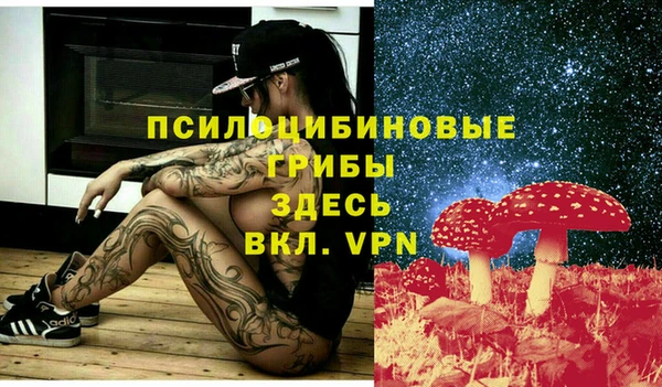 PSILOCYBIN Алексеевка