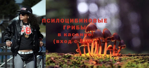 PSILOCYBIN Алексеевка